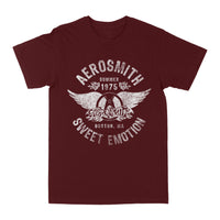 Aerosmith Sweet Emotion T-shirt