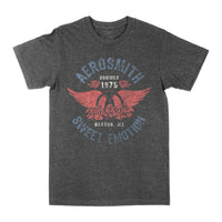 Aerosmith Sweet Emotion T-shirt