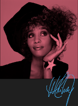 Whitney Houston Dreamer Hoodie