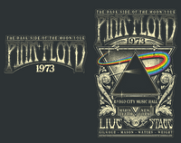 Pink Floyd DSOTM 1973 Hoodie