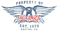 Aerosmith Property Hoodie