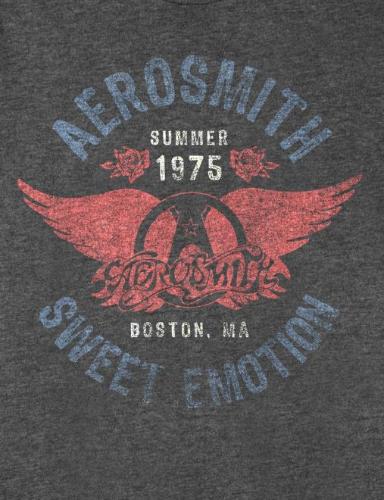 Aerosmith Sweet Emotion T-shirt