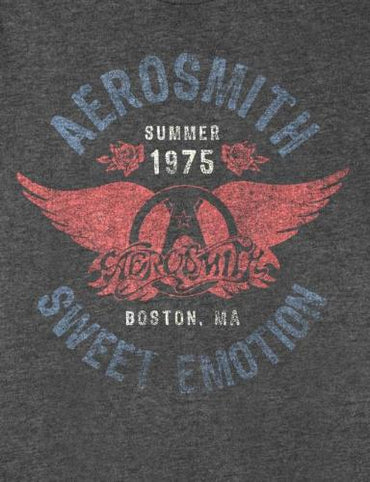 Aerosmith Sweet Emotion T-shirt