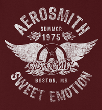 Aerosmith Sweet Emotion T-shirt